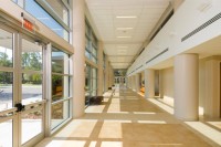 Vision_0000s_0002_detail